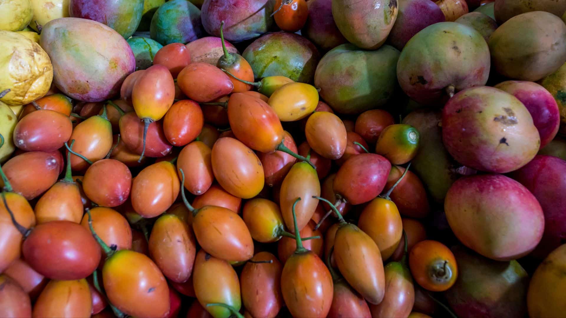 El corazón de la plaza