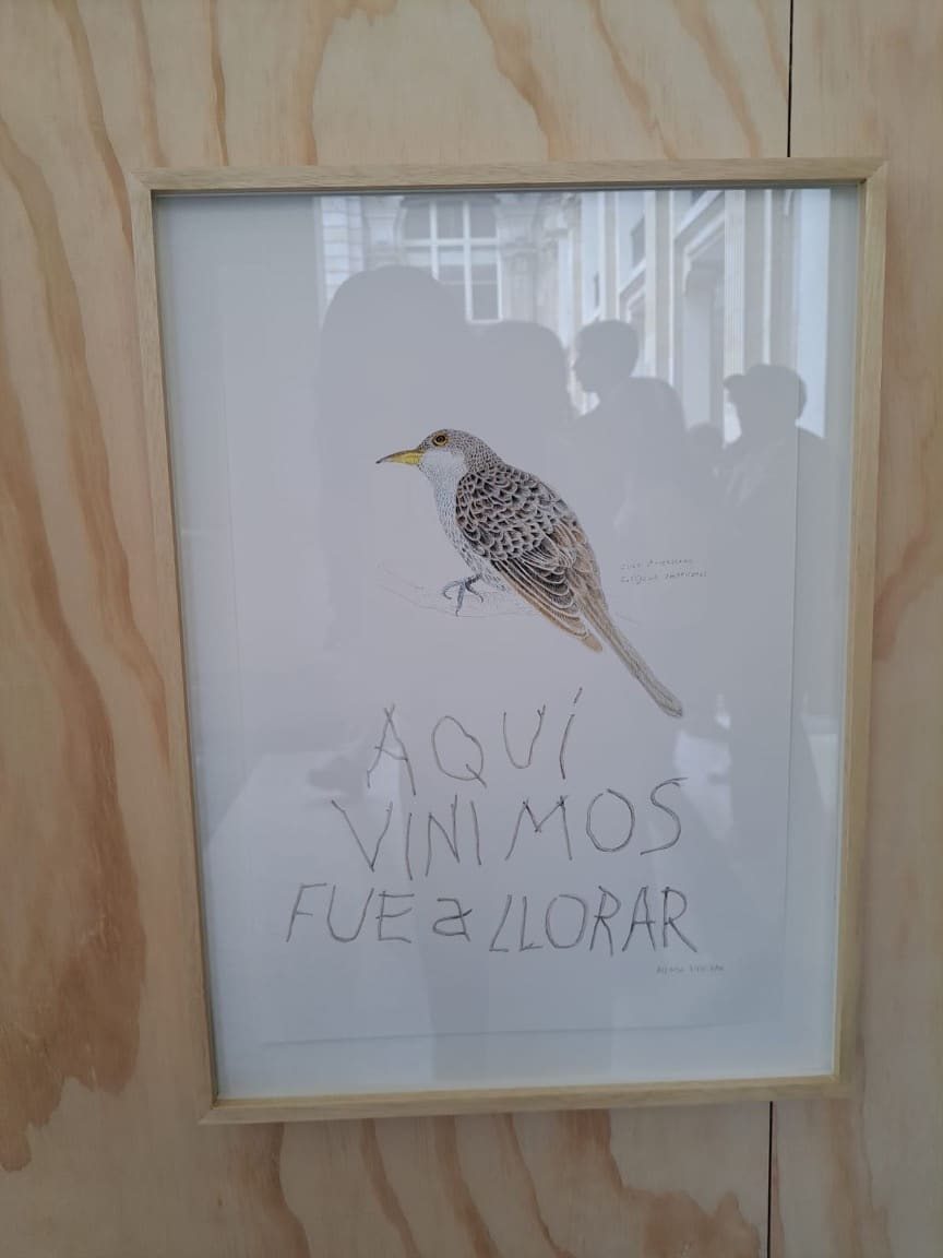 Cuadro en el palacio de San Francisco – Ángela Vargas. 