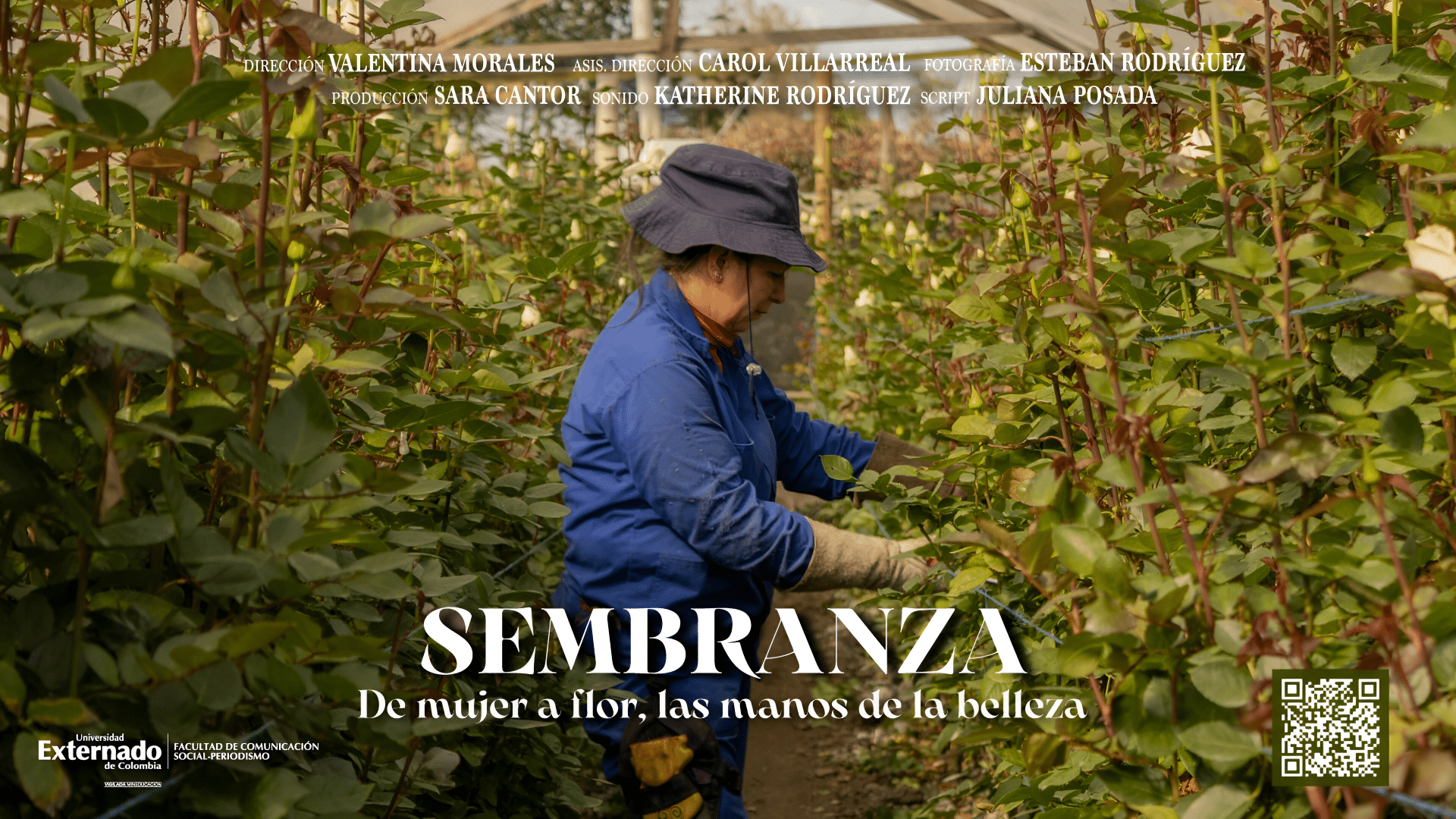 Sembranza