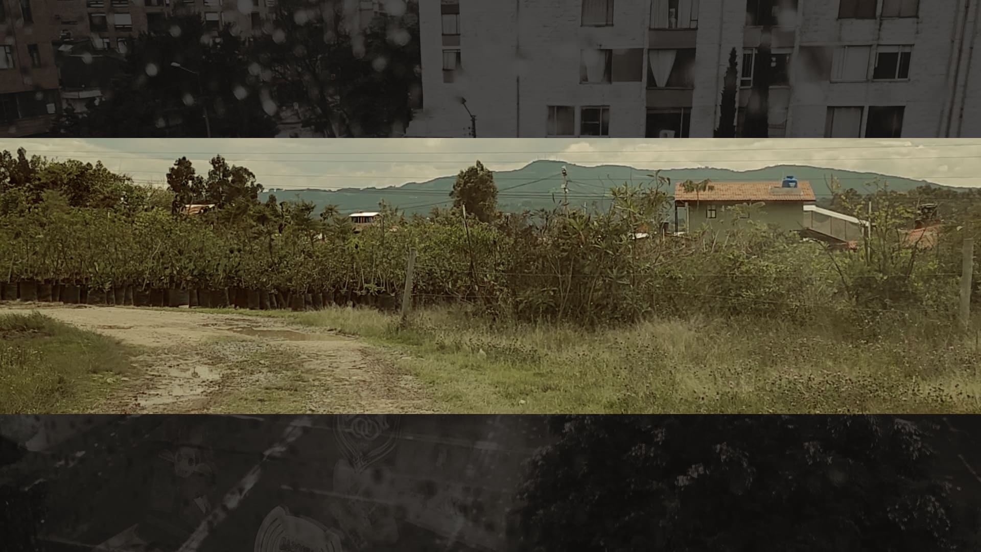 Paisaje – La trágica noticia